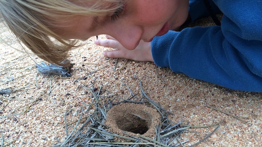 Environmental awareness is a part of the daily curriculum for students at Geraldton Leaning Tree School.