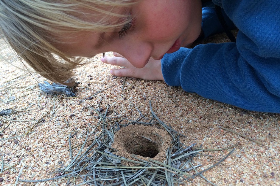 Environmental awareness is a part of the daily curriculum for students at Geraldton Leaning Tree School.