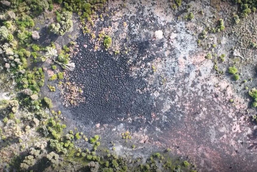 A bird's eye view taken from a drone of a burned and charred peat swamp.