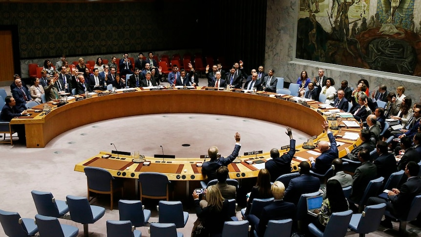 UN Security Council members sitting around a large curved table raise their hands in vote.