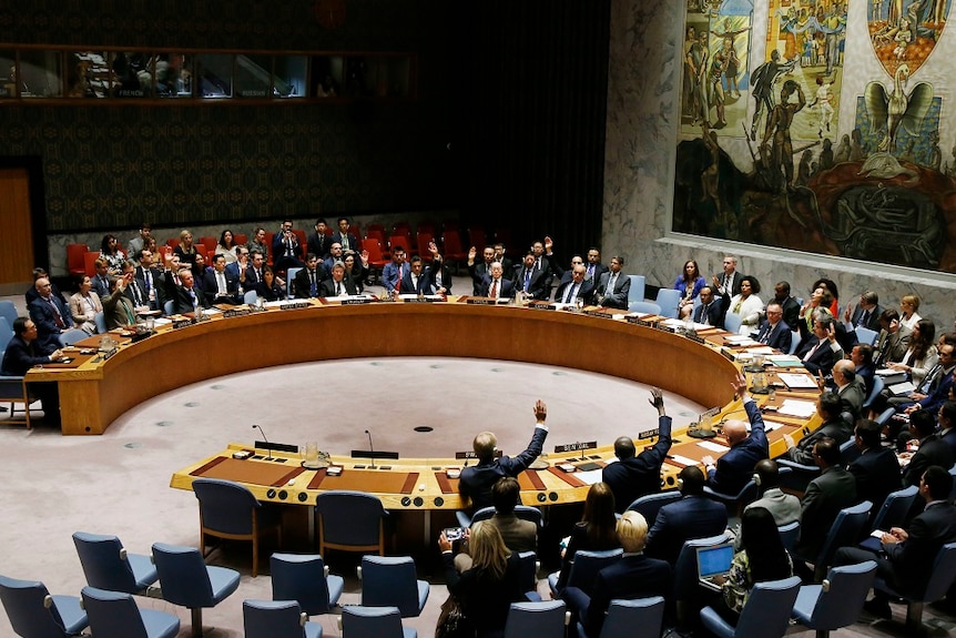 UN Security Council members sitting around a large curved table raise their hands in vote.