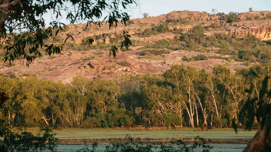 A billabong and escarpment in Kakadu.