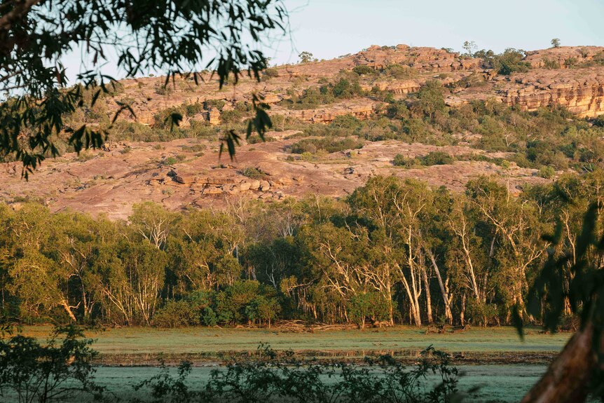 A billabong and escarpment in Kakadu.