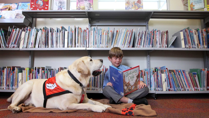 a dog and boy sitting on the floor as the boy reads a book