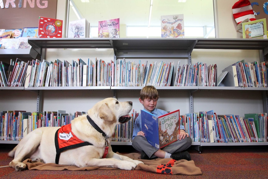 Story Dog Ben and Mount Gambier student Will