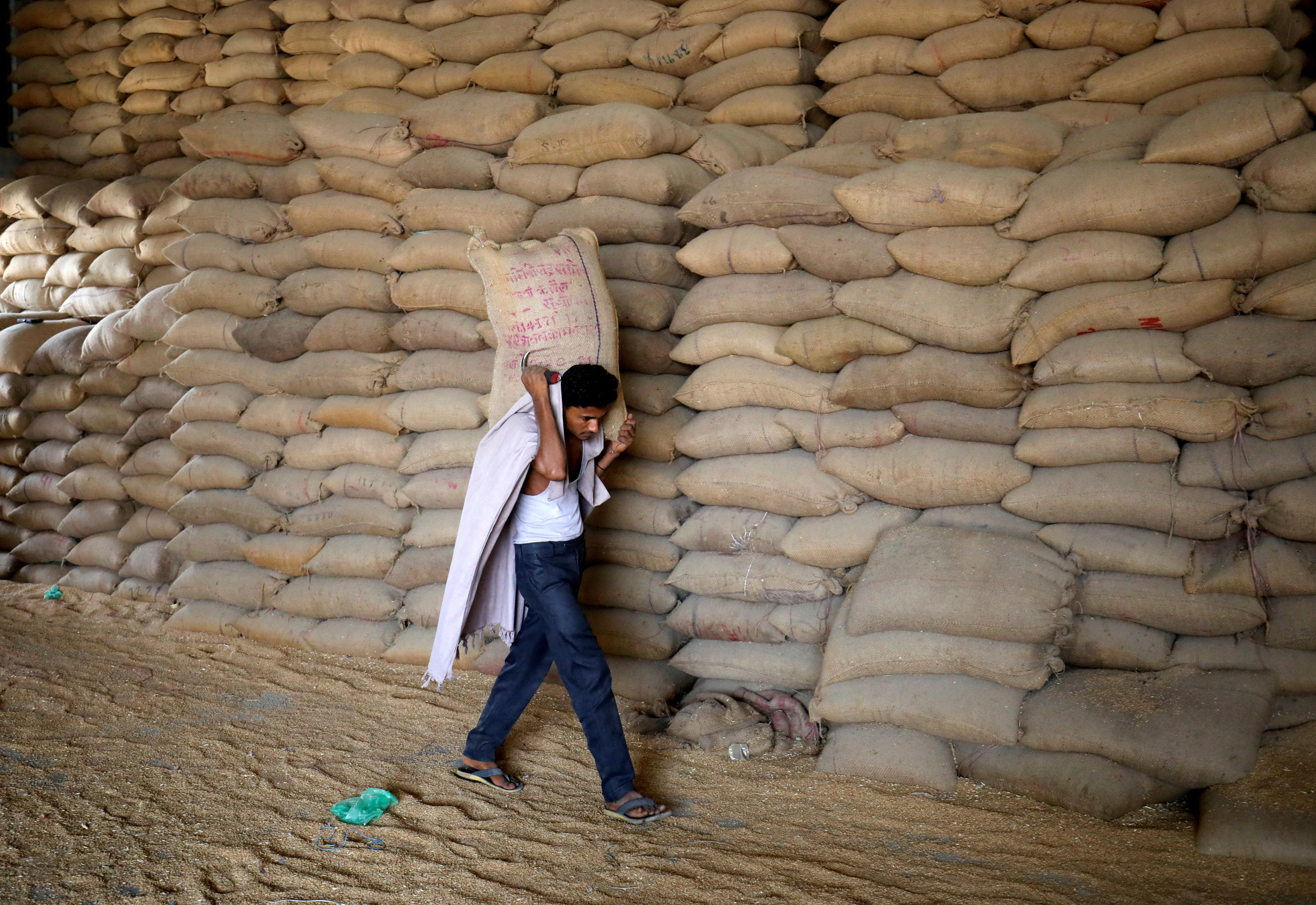 Man carries sack of wheat as he walks beside tall wall of what sacks stacked.