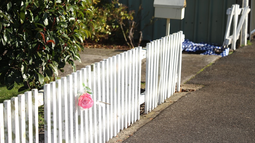 A fence with a single flower posted in the pickets.