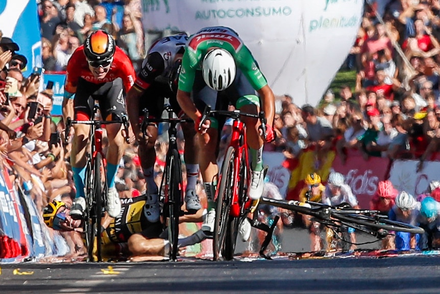 A cyclist in a green jersey puts his head down and sprints ahead at Vuelta, as behind him another cyclist lies on the ground.