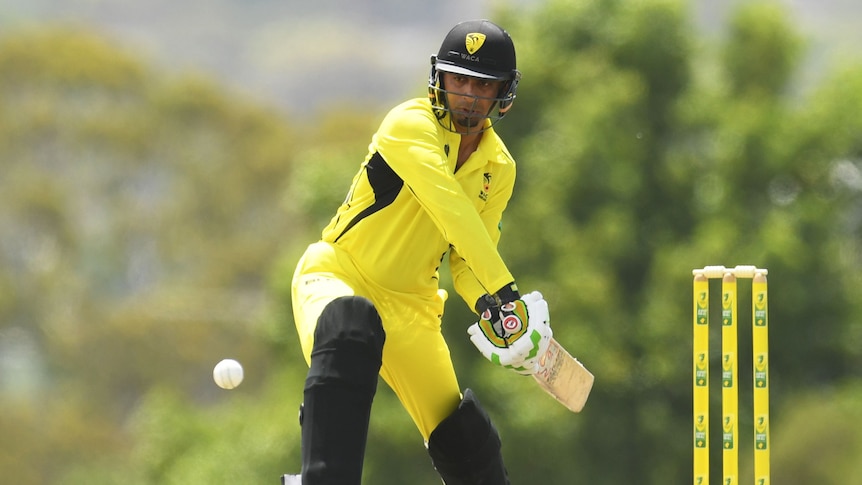 A batter wearing Western Australian colours eyes the ball as he steps forward to hit it.