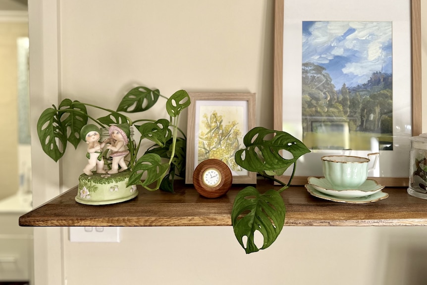 Floating shelf with indoor plant, ornament of Snugglepot and Cuddlepie, a small wooden clock and an antique teacup.