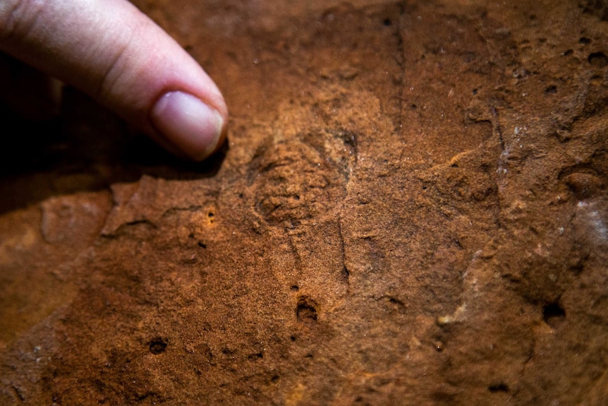 Close-up of the fossil in the rock.