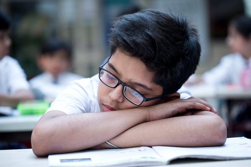A school child sleeping at their desk