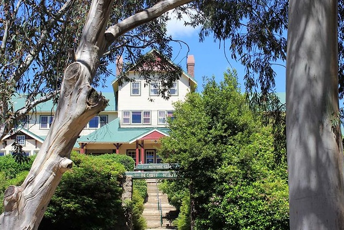 A two-storey house seen through eucalyptus trees, under a blue sky.