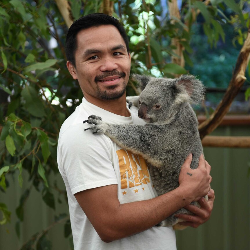 Manny Pacquiao hugs a koala