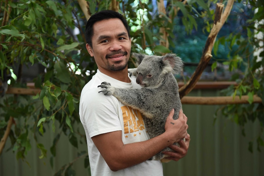 Manny Pacquiao hugs a koala