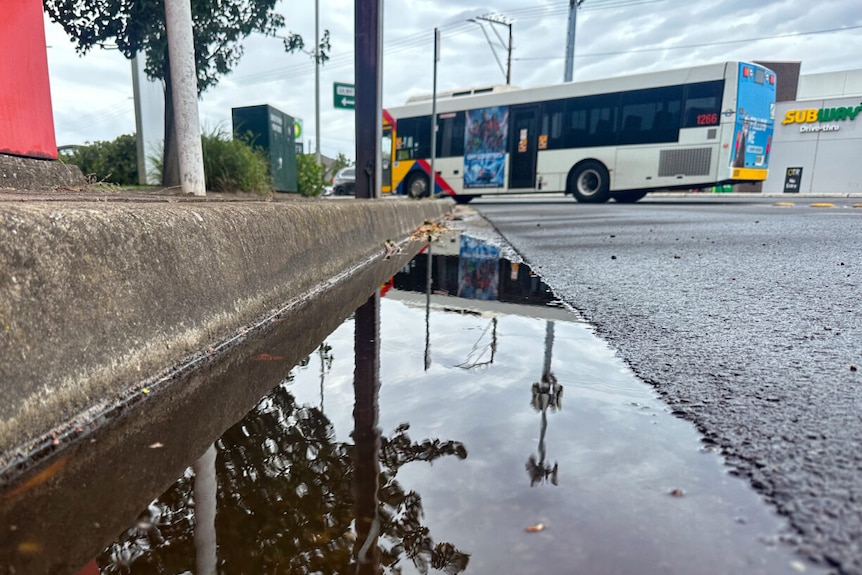 Low to the ground shot of a puddle with bus in the background.