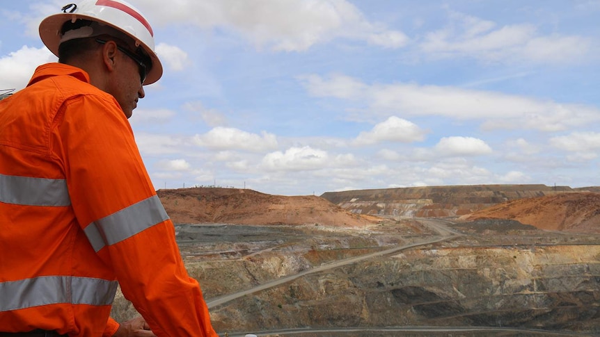 Glencore Mount Isa mine chief operating officer Mike Westerman looks at a mine pit