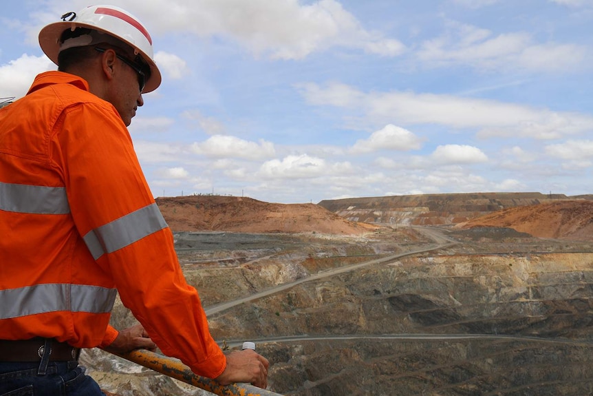 Glencore Mount Isa mine chief operating officer Mike Westerman looks at a mine pit