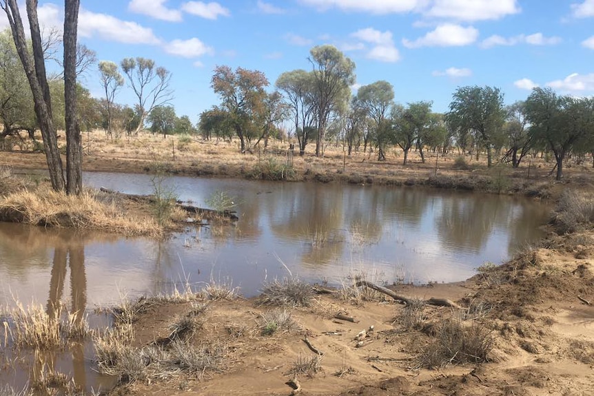 A dry creek bank filled with water in drought-declared Hughenden District.