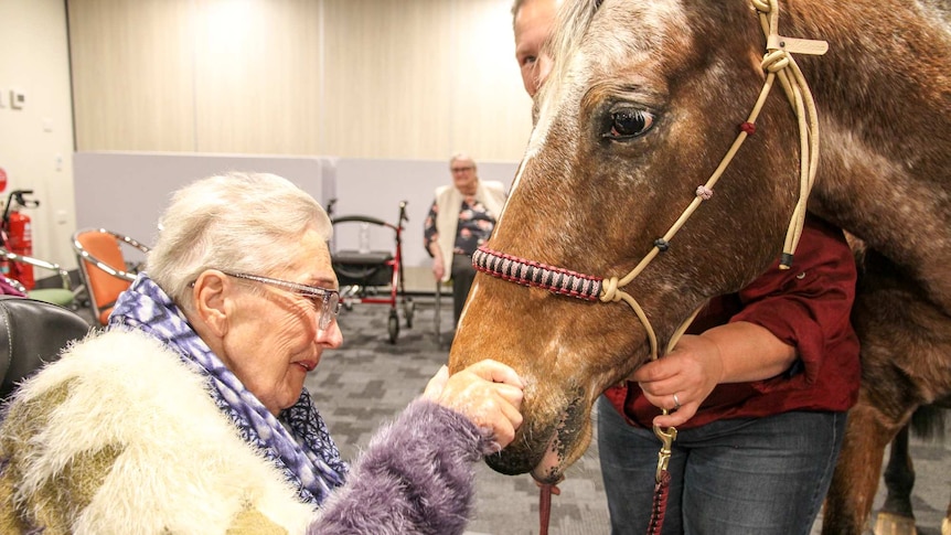 An older woman pats a horse inside her nursing home