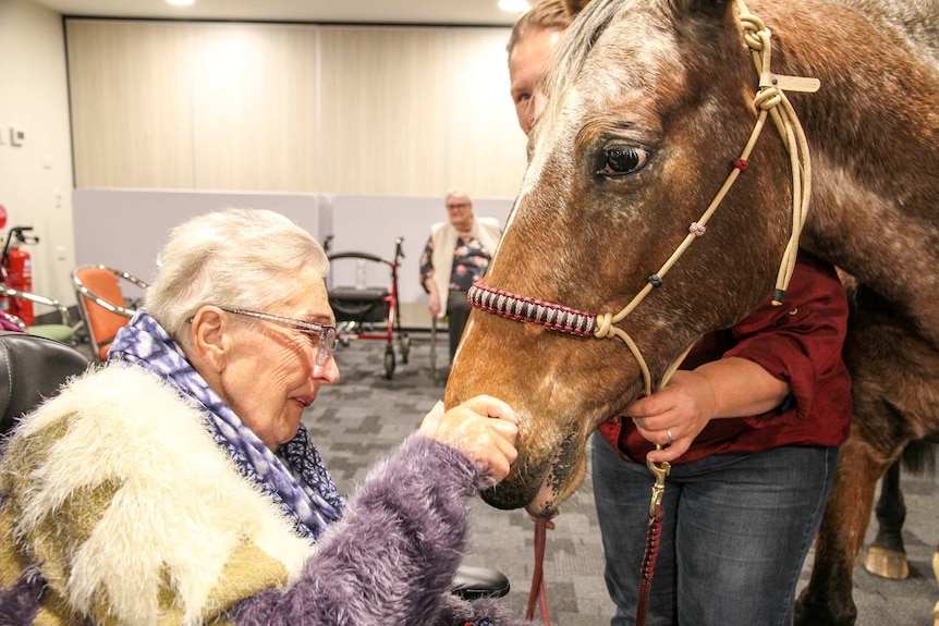 An older woman pats a horse inside her nursing home