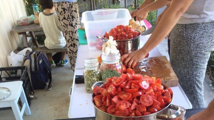 Tomatoes being turned into passata.
