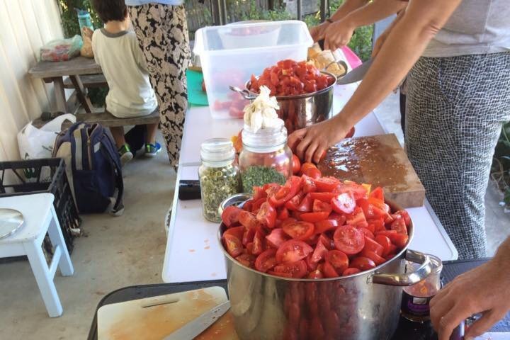 Tomatoes being turned into passata.