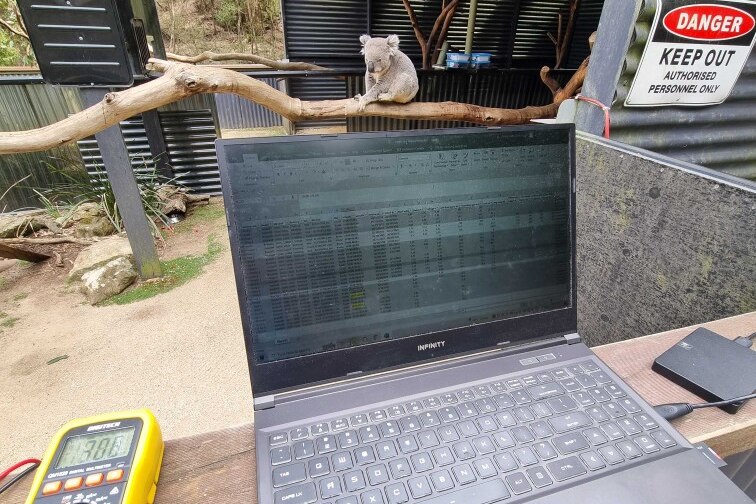 Computer in foreground, with koala sitting on branch in background 