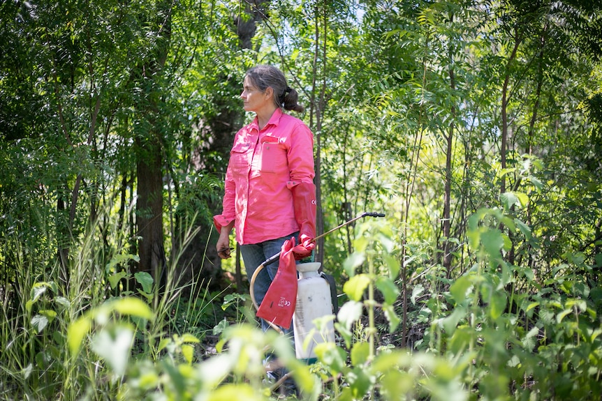 a woman in a pink shirt holding a hand spray unit surrounded by neem trees.