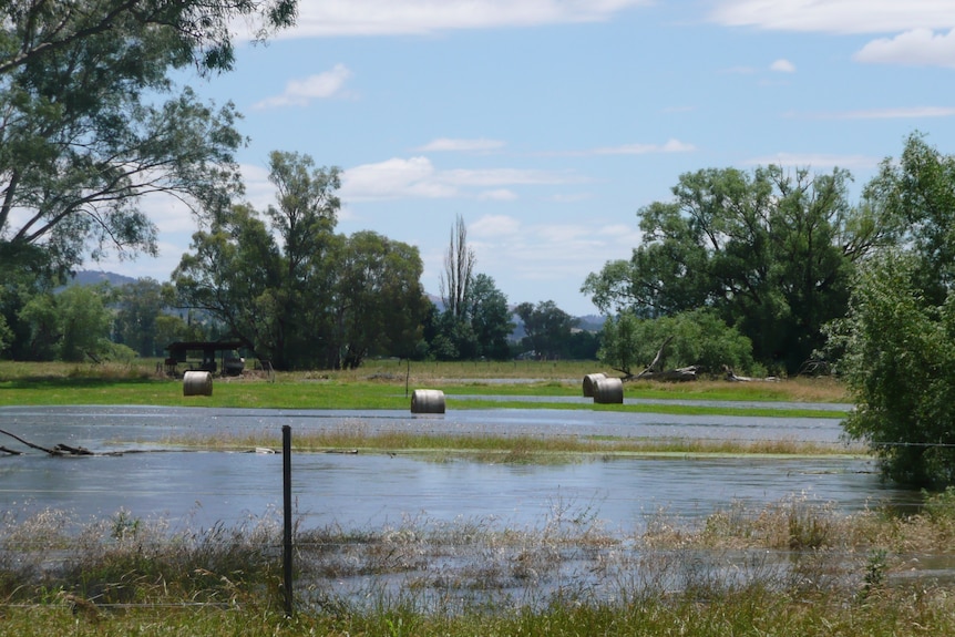 A flooded field surrounded by trees, with hay bales visible in the background