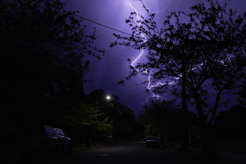 Trees in silhouette in front of a lightning strike splitting the night sky in Adelaide