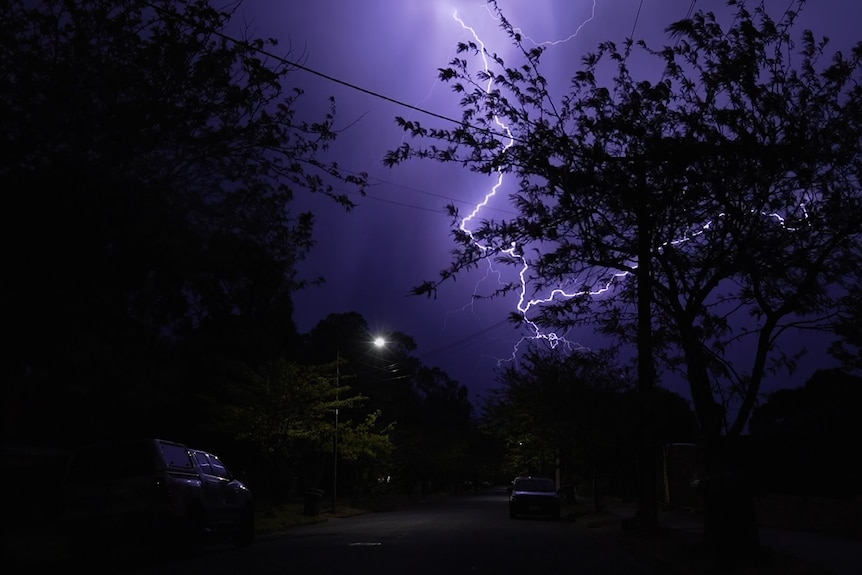 Trees in silhouette in front of a lightning strike.