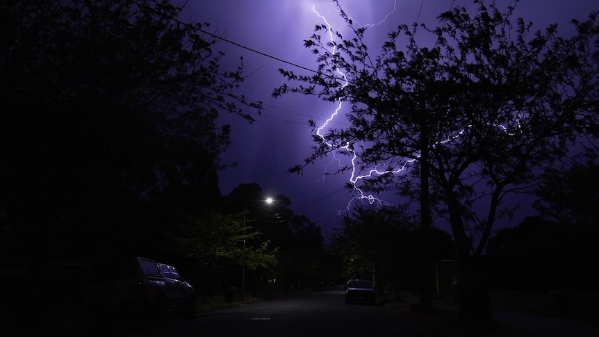 Trees in silhouette in front of a lightning strike.