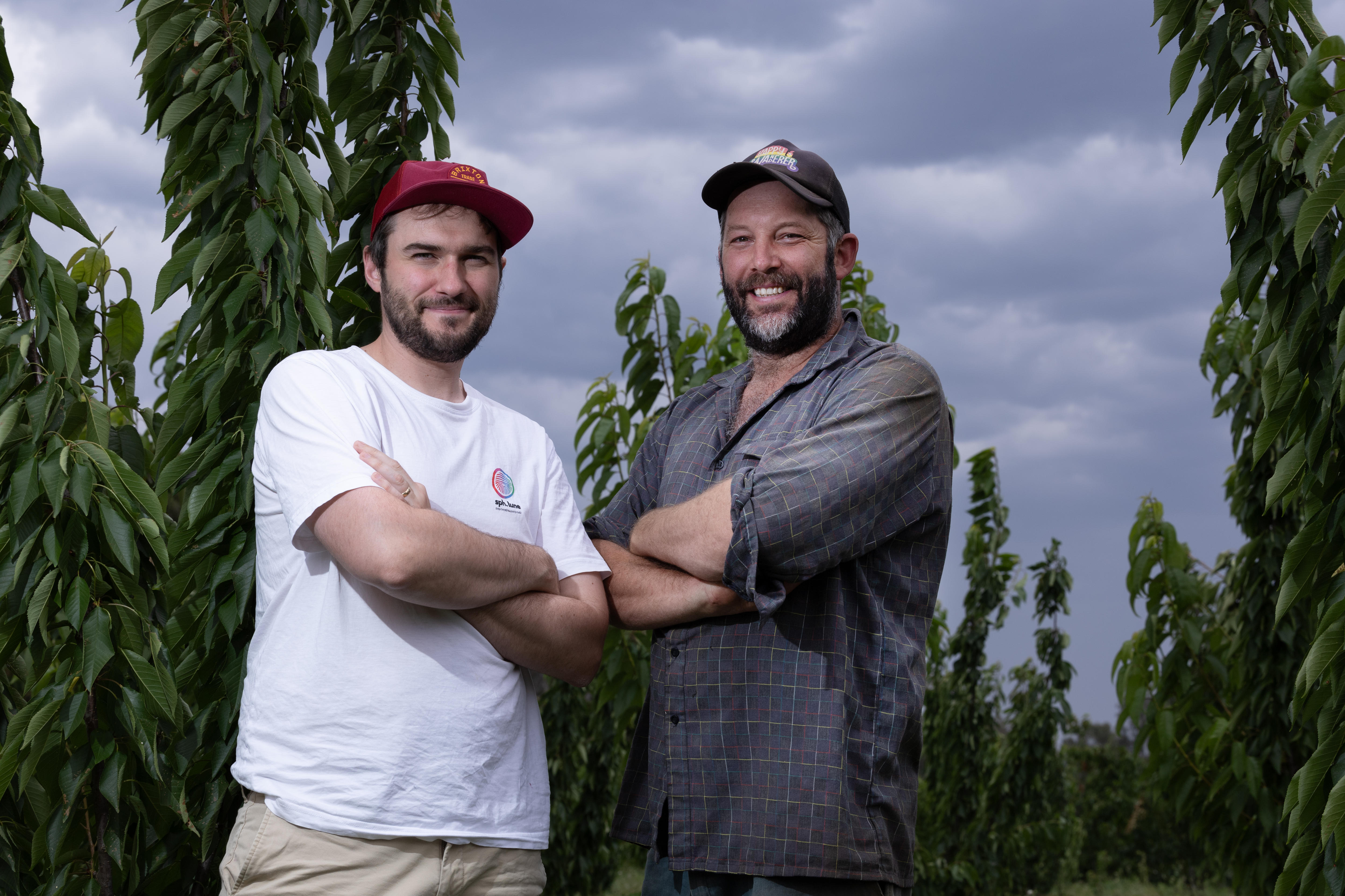 Two men stand in a cherry tree orchard with a stormy sky above them. 