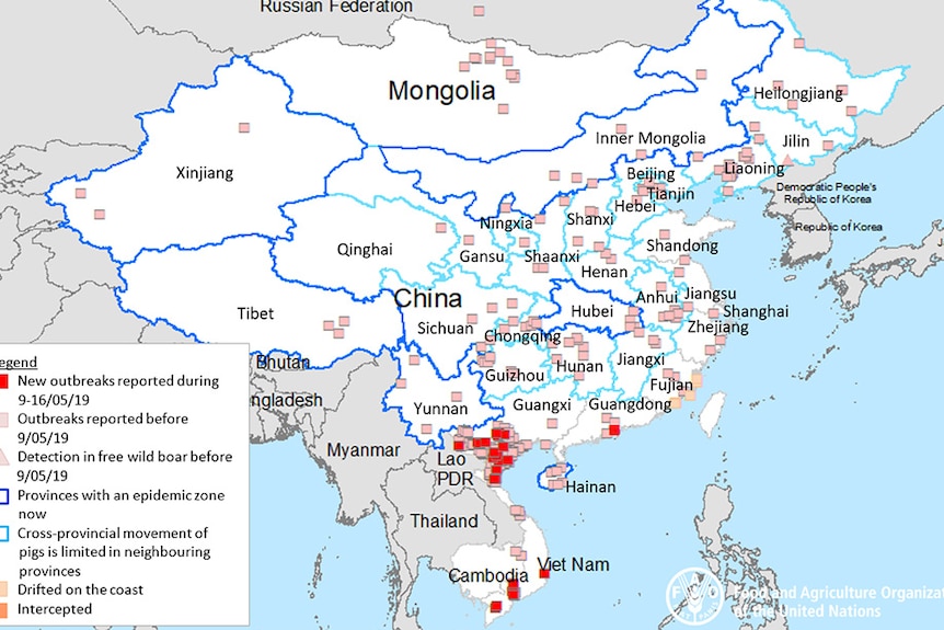 ASF outbreak map