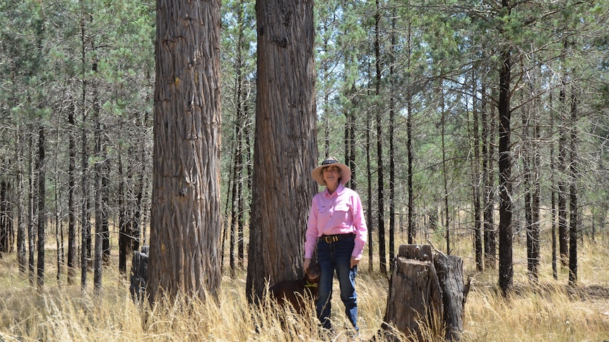 An older woman in a pink shirt and wide hat stands in a pine forest with her working dog. 