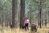 An older woman in a pink shirt and wide hat stands in a pine forest with her working dog. 