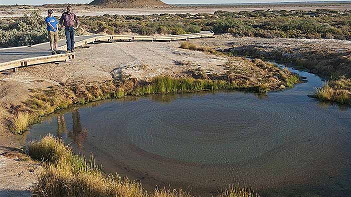 A Great Artesian Basin mound spring in outback SA