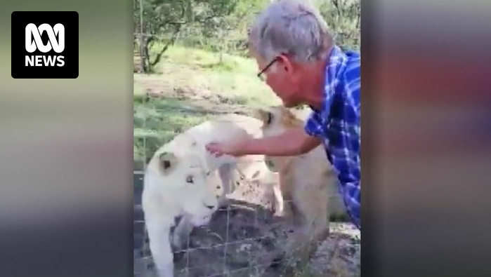 Lion bites man who stuck his hand through fence for a pat