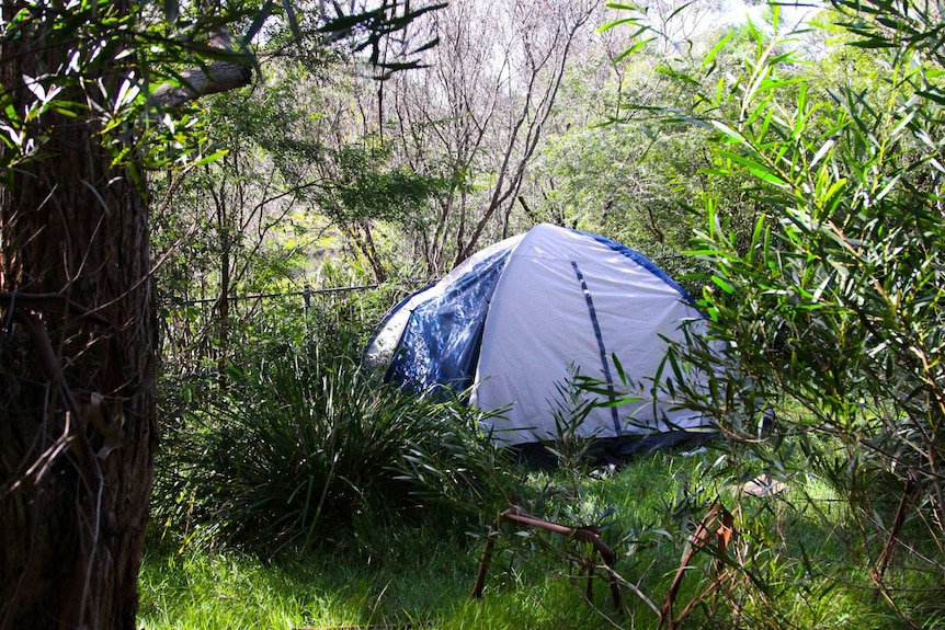 Tent in Annandale