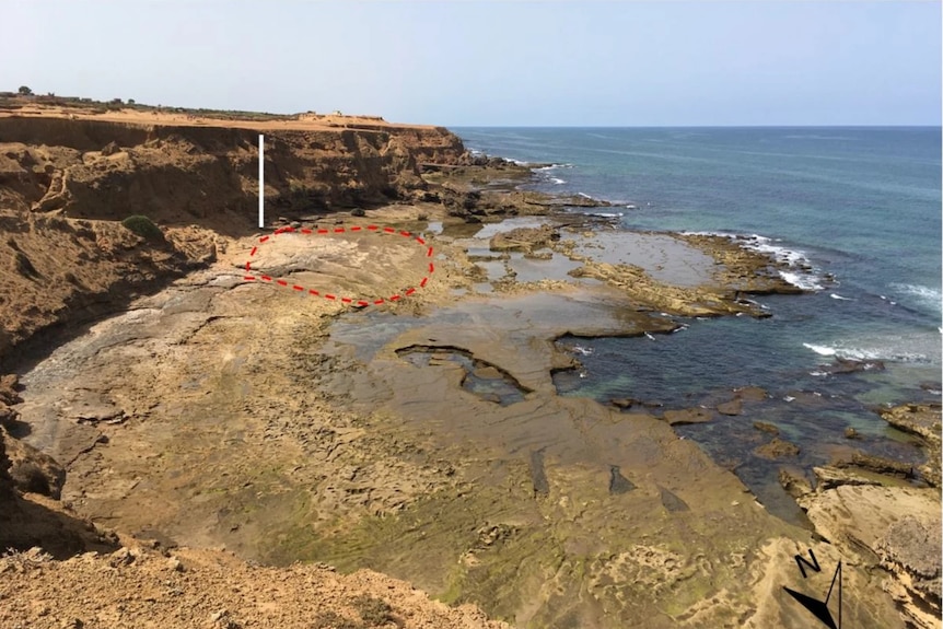 Brown rock shoreline delimited with dotted red line showing where footprints were first discovered