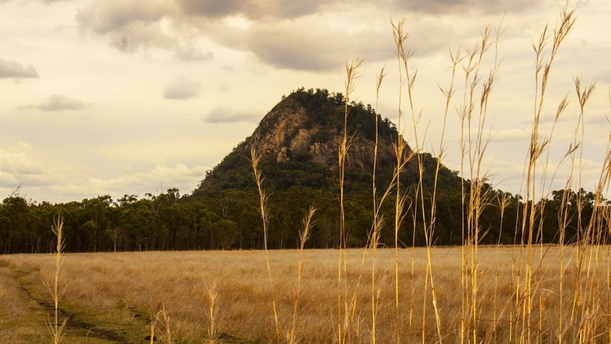 Mountain in the distance with grass in the front of photo.