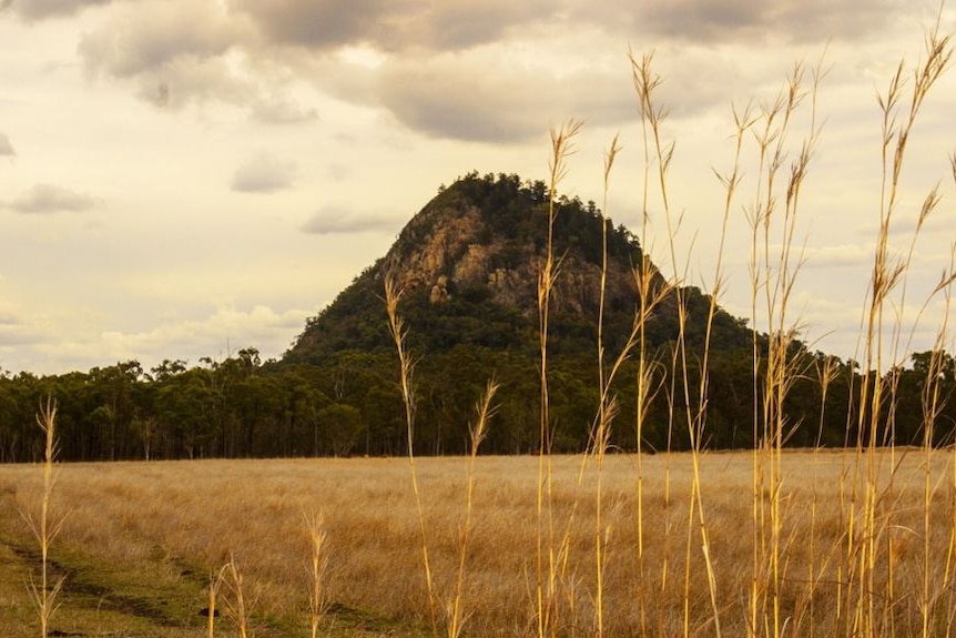 Mountain in the distance with grass in the front of photo.