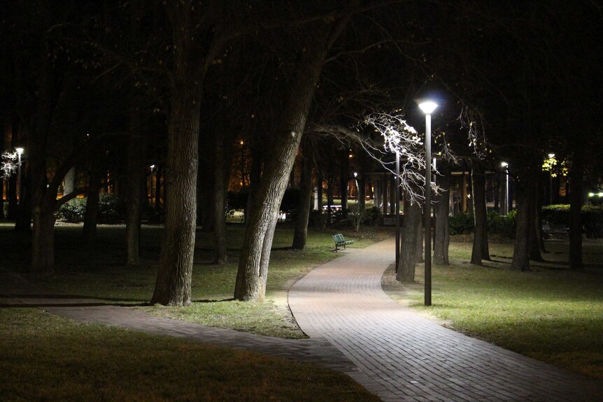 A dimly lit path bench through Glebe Park at night.
