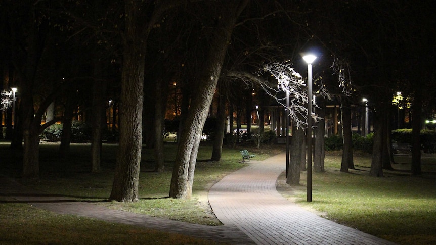 A dimly lit path bench through Glebe Park at night.