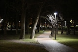 A dimly lit path bench through Glebe Park at night.