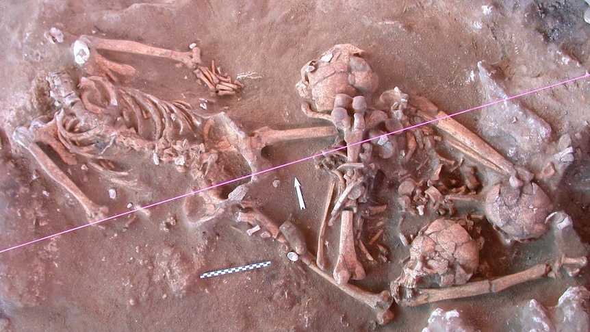 Skeletons found at Teouma cemetery