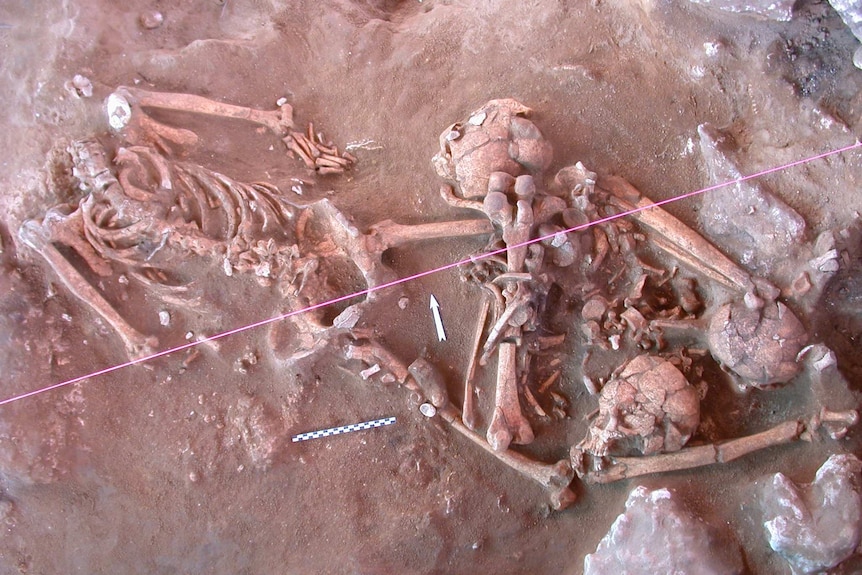 Skeletons found at Teouma cemetery