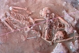 Skeletons found at Teouma cemetery