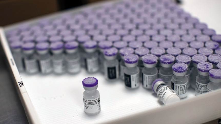 Frozen vials of the Pfizer/BioNTech COVID-19 vaccine are taken out to thaw.